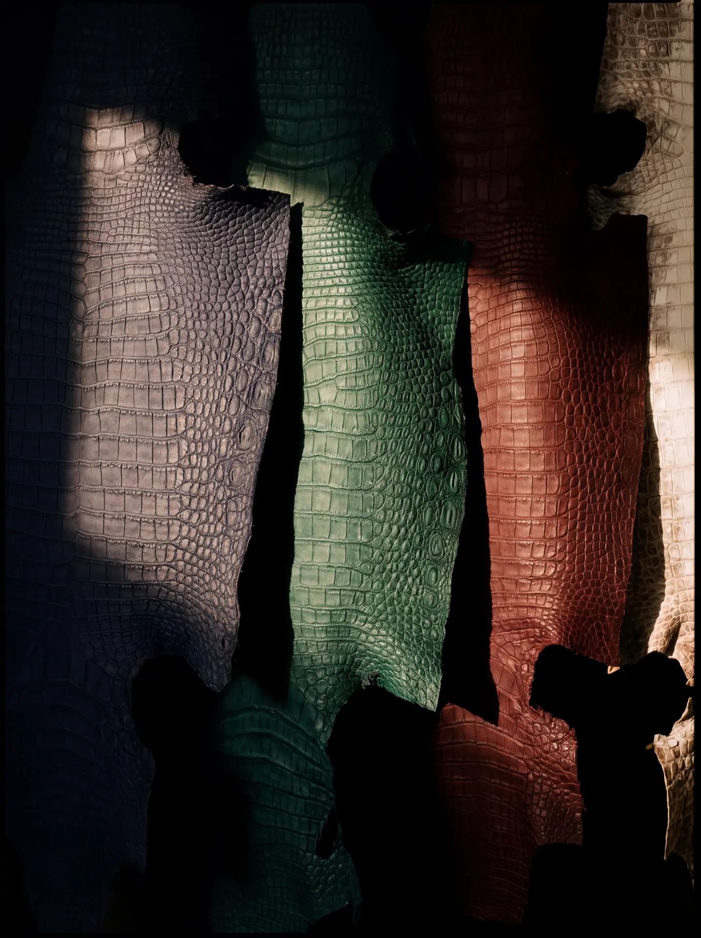 Siamese crocodile hides in deep purple, forest green, warm russet and ivory, hand-finished to reveal their scale pattern