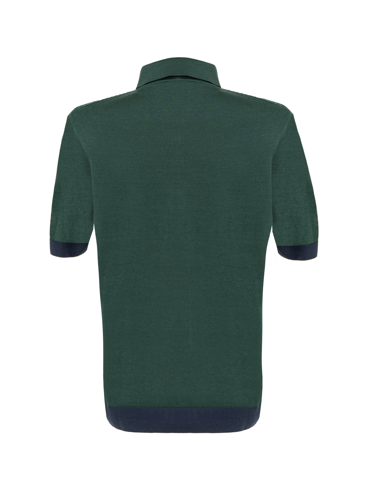 Verde Polo view 2